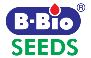 Bbio Seeds